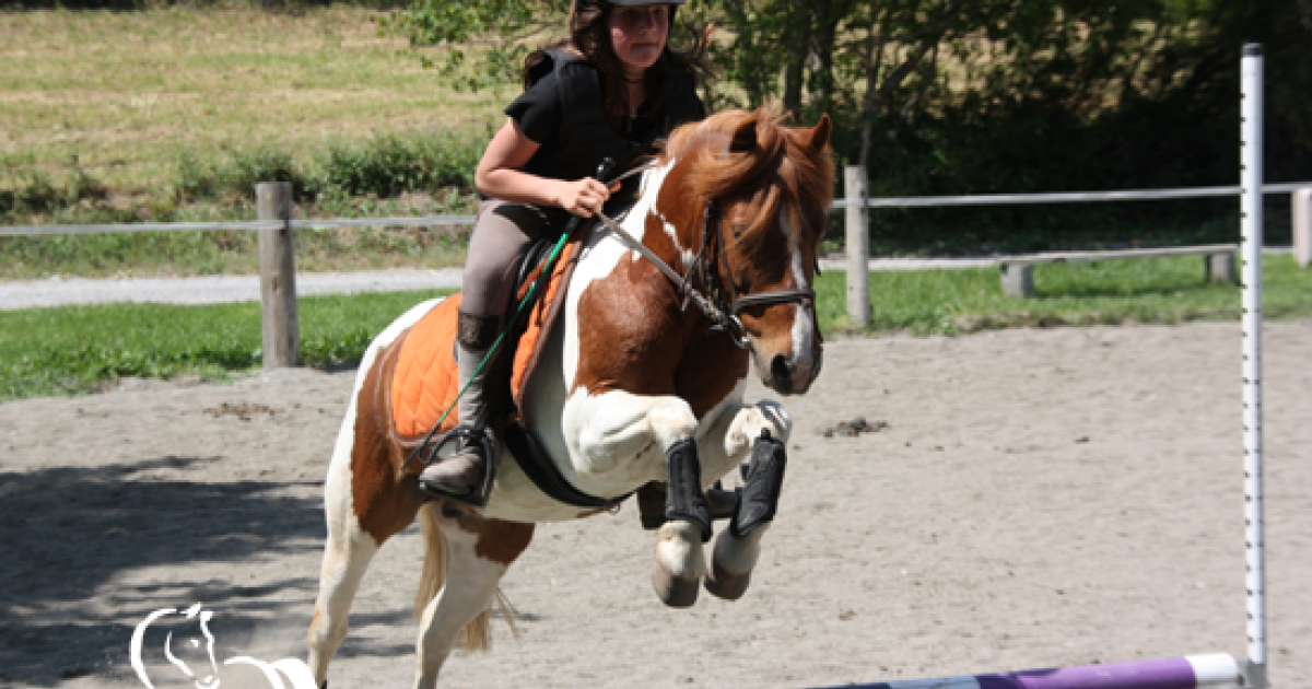 Tight D'équitation Kerrits Femme - Gris - Taille S - Micropoly/Spandex - Performance Ascension - Occasion