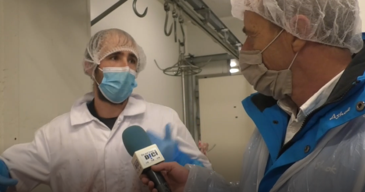 alpes-de-haute-provence-les-nuits-courtes-de-r-mi-de-l-abattoir-de
